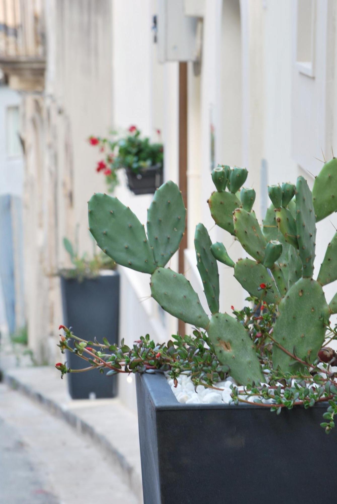 A Casa Di Grazia Ragusa Exterior foto